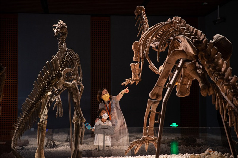 Chine : Journée internationale des musées