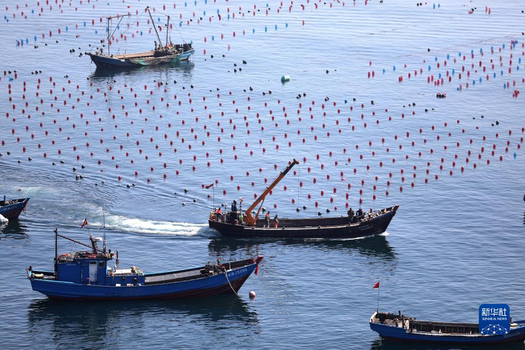 Liaoning : une nouvelle pastorale résonne sur le paturage marin et le ? grenier bleu ? engendre de la vitalité