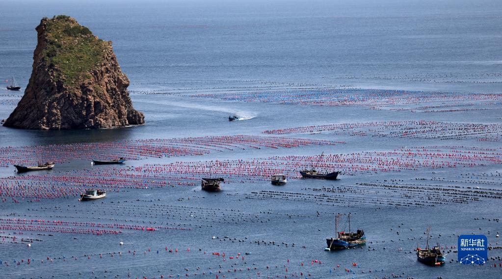 Liaoning : une nouvelle pastorale résonne sur le paturage marin et le ? grenier bleu ? engendre de la vitalité