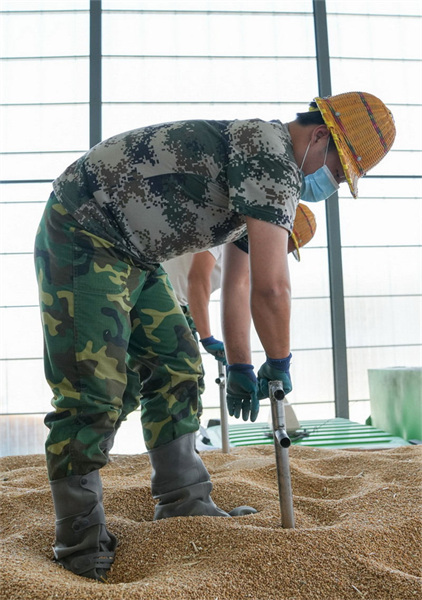 Le voyage d'un grain de blé : d'? aussi plein qu'une perle ? à ? aussi fin que la corde d'une cithare ?