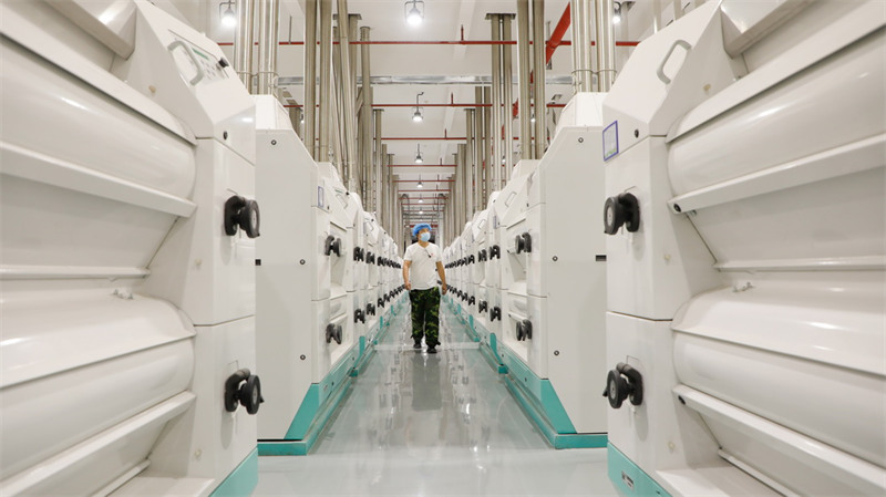 Le voyage d'un grain de blé : d'? aussi plein qu'une perle ? à ? aussi fin que la corde d'une cithare ?