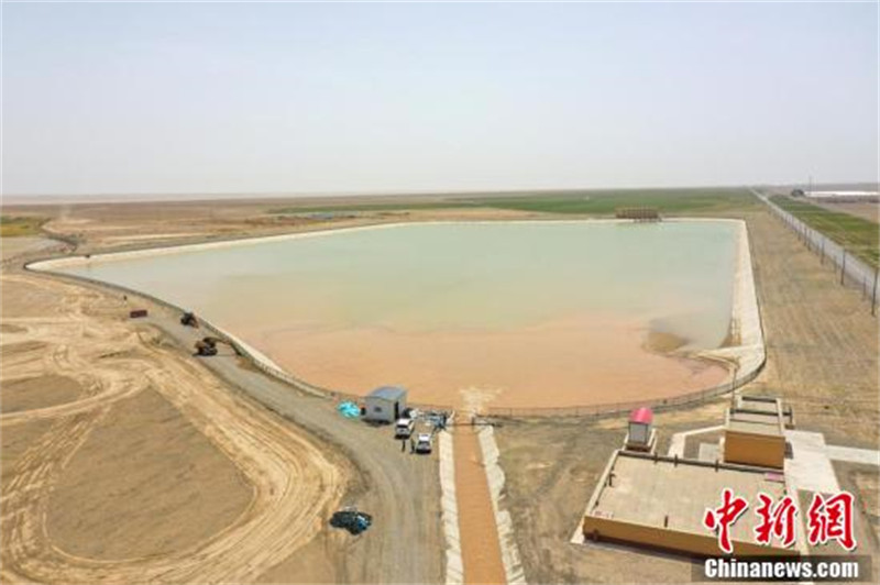 A la découverte de la ? plus grande ferme bovine ? du Xinjiang dans le désert de Gobi