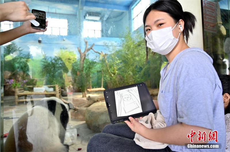 Guangxi : deux pandas géants jumeaux fêtent leur 6e anniversaire en dégustant un ? gateau glacé ?