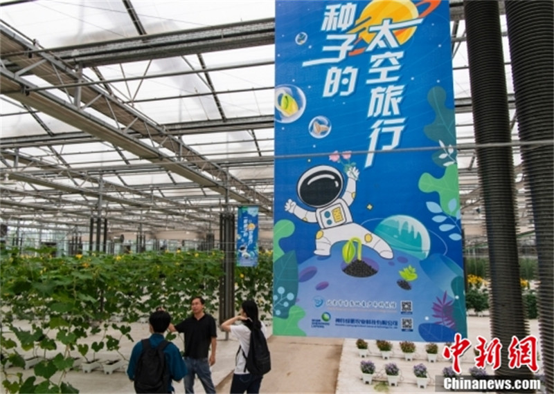 Comment les ? semences spatiales ? contribuent aux ? jardins terrestres ?