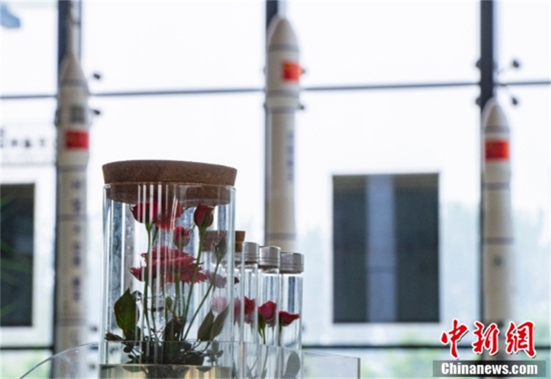 Comment les ? semences spatiales ? contribuent aux ? jardins terrestres ?