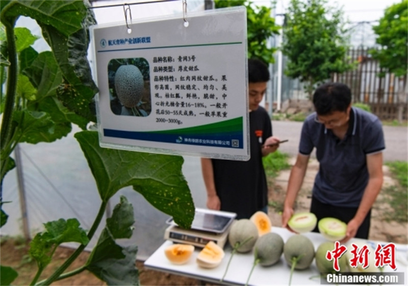 Comment les ? semences spatiales ? contribuent aux ? jardins terrestres ?