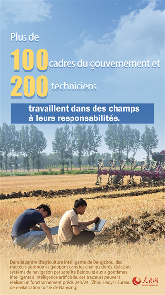 Infographie sur la récolte d'été en Chine