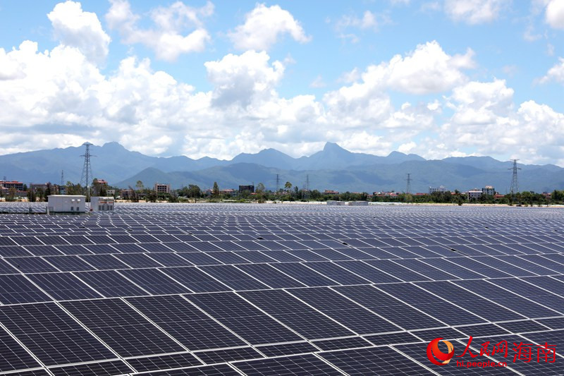 Hainan : les terres salines et alcalines autrefois abandonnées sont désormais des champs d'énergie verte