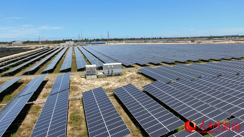 Hainan : les terres salines et alcalines autrefois abandonnées sont désormais des champs d'énergie verte