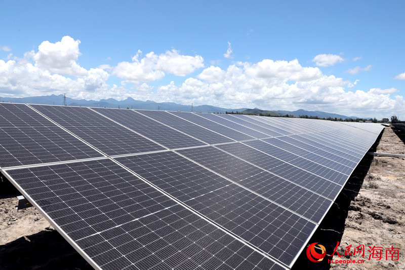 Hainan : les terres salines et alcalines autrefois abandonnées sont désormais des champs d'énergie verte