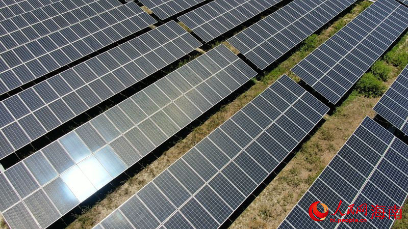 Hainan : les terres salines et alcalines autrefois abandonnées sont désormais des champs d'énergie verte