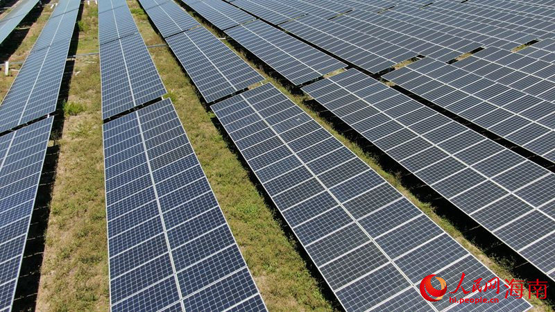 Hainan : les terres salines et alcalines autrefois abandonnées sont désormais des champs d'énergie verte