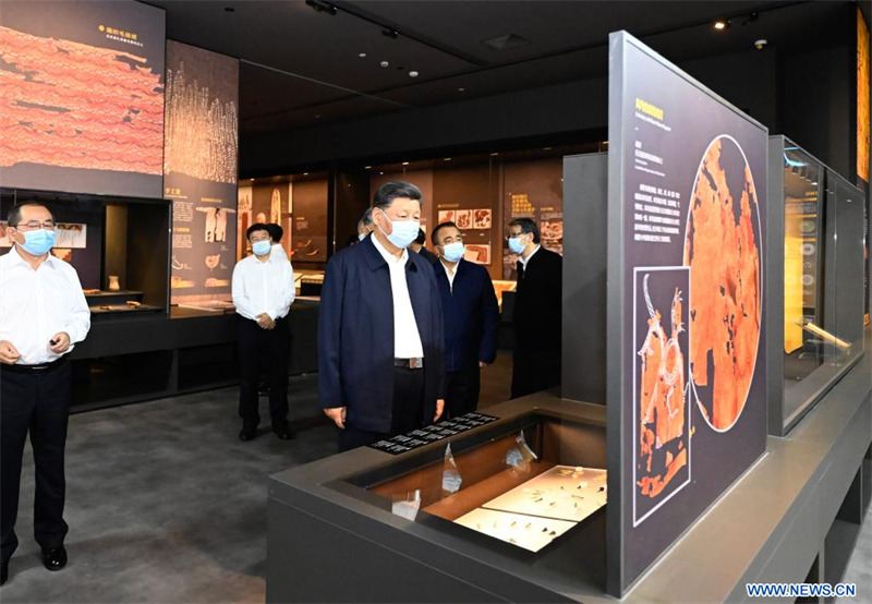 Xi Jinping met l'accent sur l'application des politiques du Parti sur le Xinjiang, en soulignant la stabilité et la sécurité