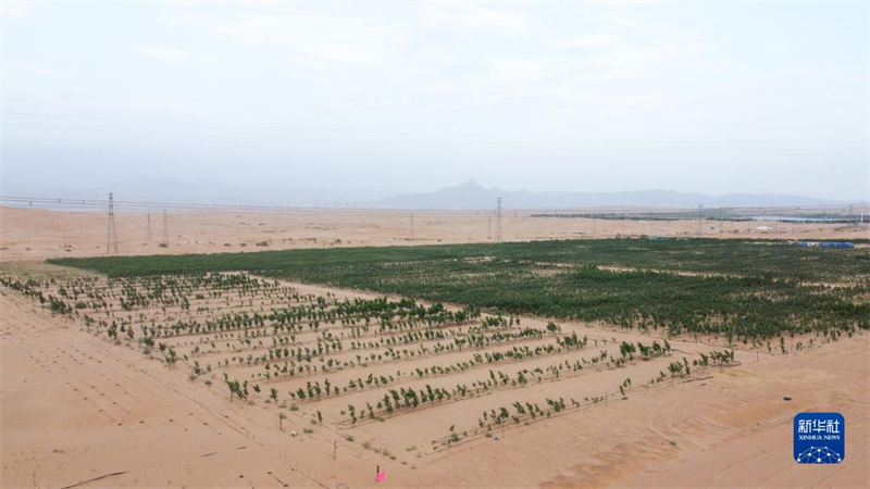 Mongolie intérieure: le contr?le des bords du désert de Wulanbuhe