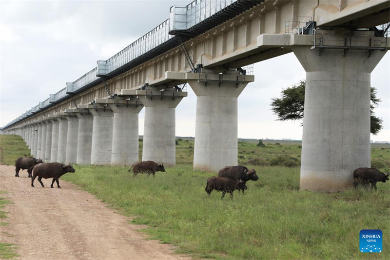 Le SGR Mombasa-Nairobi construit par la Chine au Kenya contribue à la sensibilisation à l'environnement