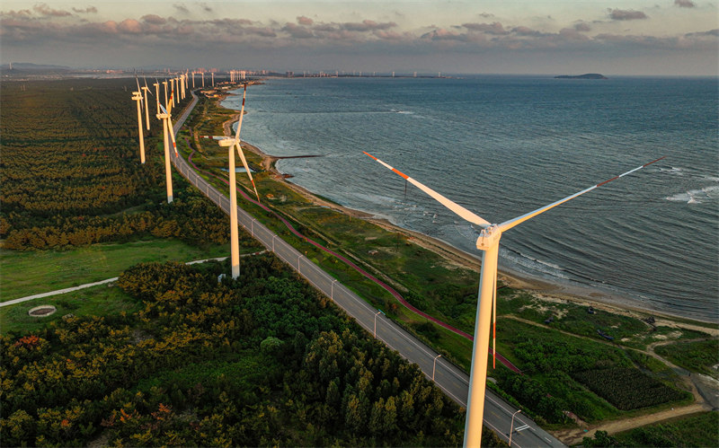 Le développement de l'énergie éolienne c?tière à Rongcheng, dans le Shandong
