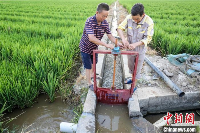 Jiangxi : diverses mesures prises pour lutter contre la sécheresse pour assurer la production agricole à Pingxiang