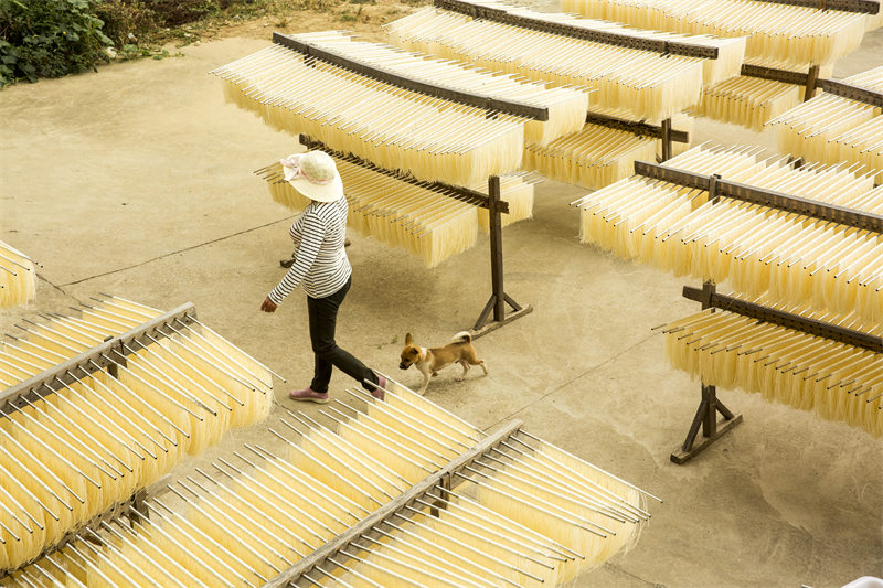 Jiangxi : les villageois occupés à sécher des nouilles fra?ches
