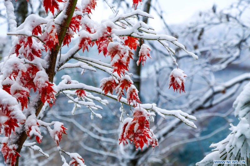 Chine : paysage de neige à Dandong au Liaoning