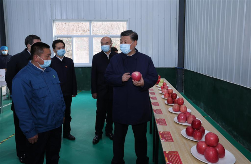 Xi Jinping souligne l'importance de faire progresser la revitalisation rurale durant ses inspections au Shaanxi et au Henan