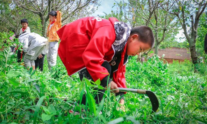 Cette école primaire rurale de Yunnan consomme les matières alimentaires plantées par elle-même