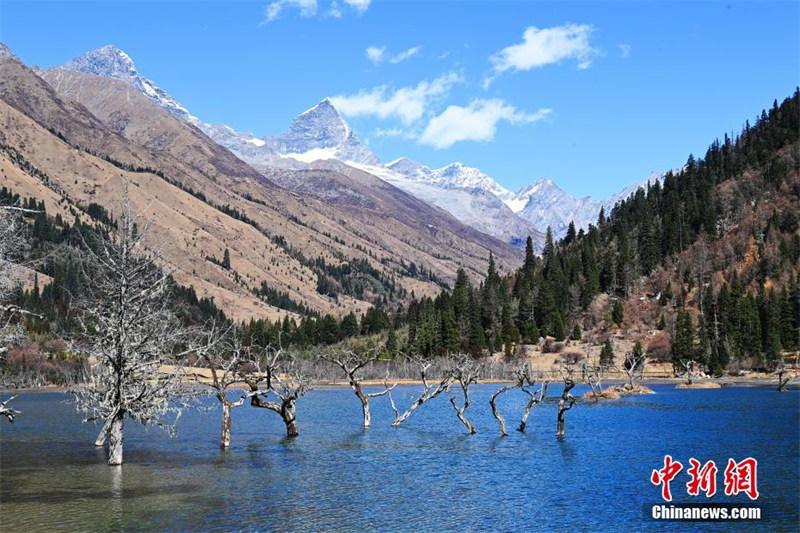 Le paysage pittoresque de la vallée de Shuangqiao du mont Siguniang, dans le Sichuan