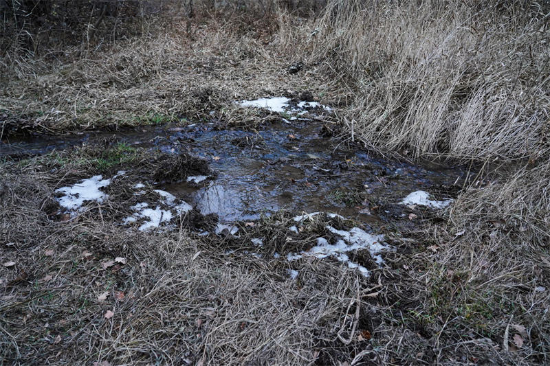 Les chercheurs de léopards des montagnes profondes de Beijing