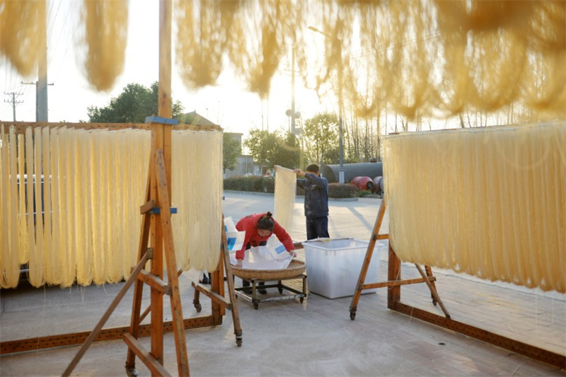 Anhui : des nouilles suspendues faites à la main, un patrimoine immatériel qui aide à augmenter les revenus à Feidong