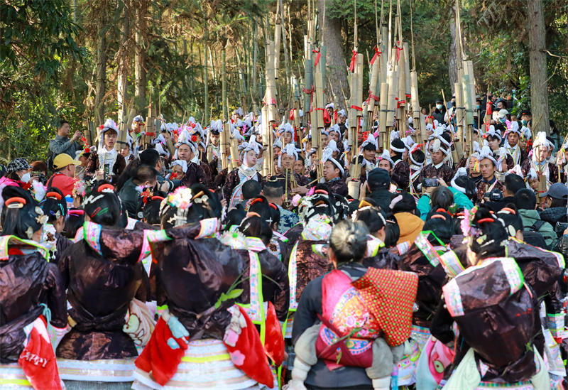 Guizhou: un festival de Lusheng organisé dans un village Miao