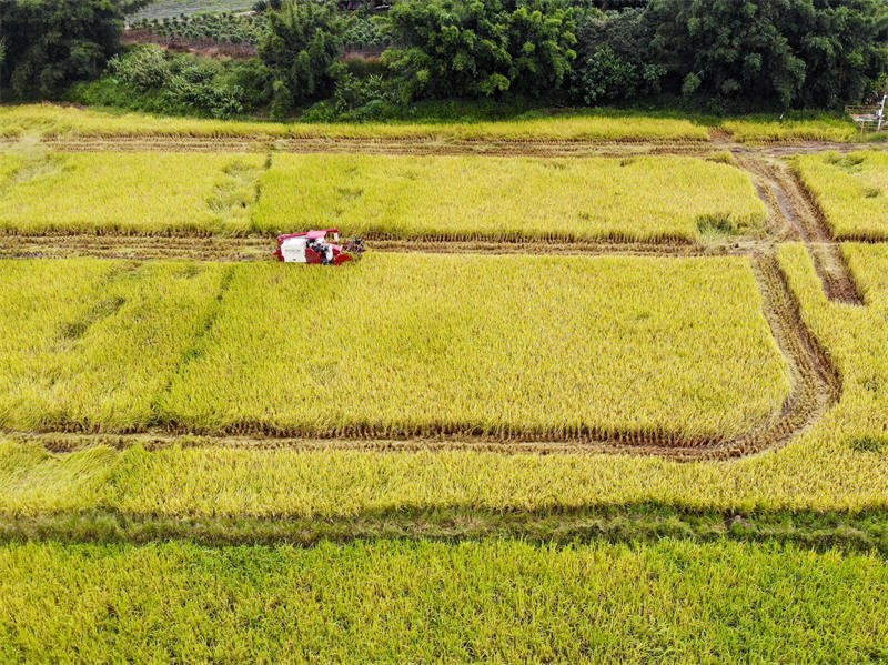 Mettre un ? noyau technologique ? dans les terres agricoles