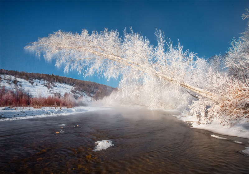 Heilongjiang : des paysages de givre spectaculaires dans la ? ville la plus froide de Chine ?