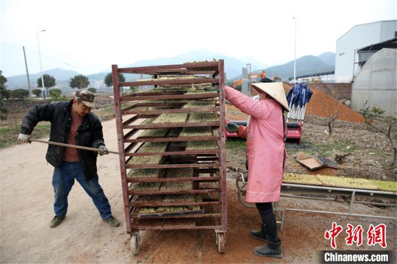 Zhejiang : des machines agricoles ? montrent leurs compétences ? lors des labours de printemps à Dongyang