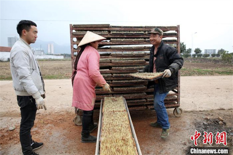 Zhejiang : des machines agricoles ? montrent leurs compétences ? lors des labours de printemps à Dongyang