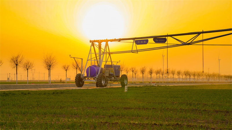 Comment les sciences et technologies aident l'agriculture intelligente