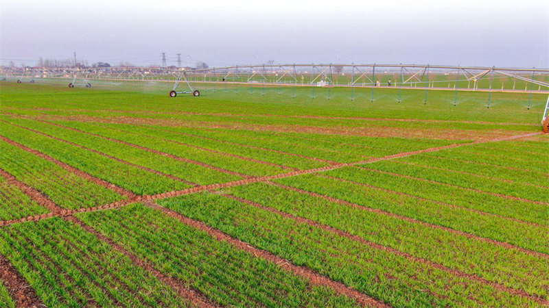 Comment les sciences et technologies aident l'agriculture intelligente