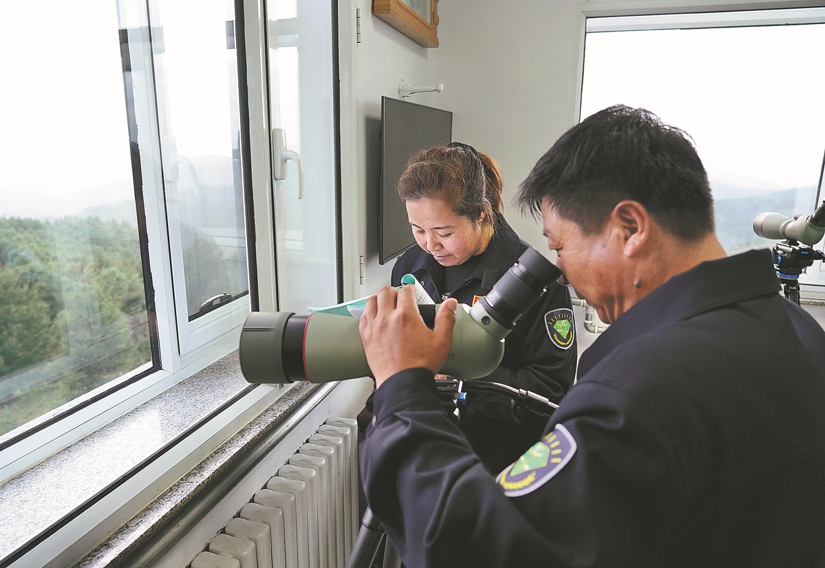 Liu Jun et Wang Juan regardent depuis leur point de contr?le à la ferme forestière de Saihanba dans la province du Hebei l'année dernière. (Mou Yu / Xinhua)