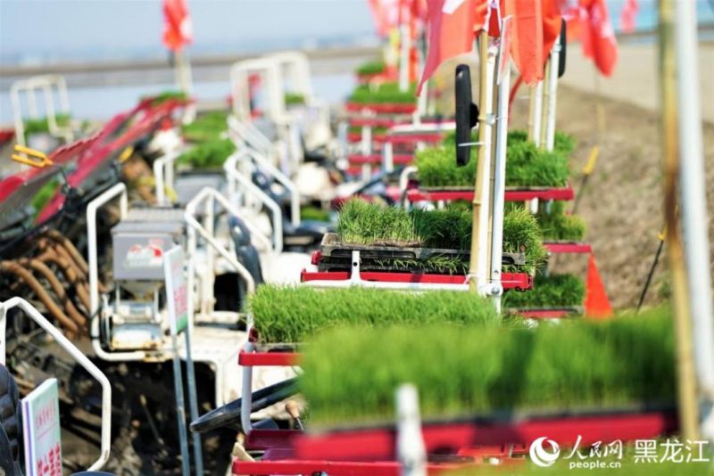 (Photo / Le Quotidien du Peuple en ligne)