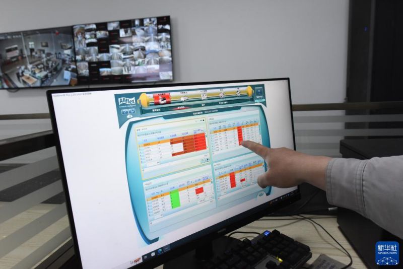 Gansu : l'intelligence artificielle dans une ferme?laitière?à Wuwei