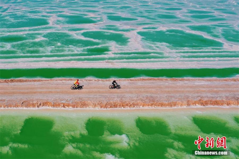 Des cyclistes s'affrontent le long du lac émeraude avec de merveilleuses couleurs naturelles sur le bassin de Qaidam, dans la préfecture autonome mongole et tibétaine de Haixi, dans la province du Qinghai (nord-ouest de la Chine), le 23 mai 2023. (Jia Haiyuan / China News Service)