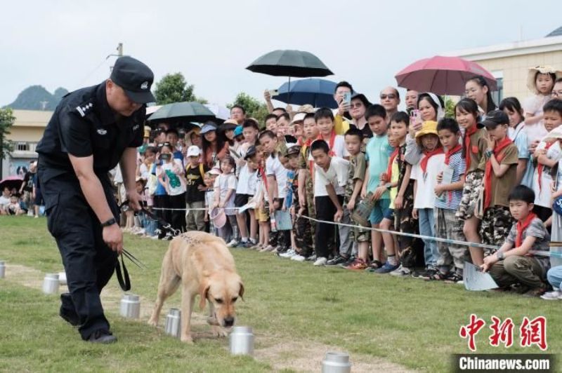 Guangxi : des élèves participent à un entra?nement avec des chiens policiers