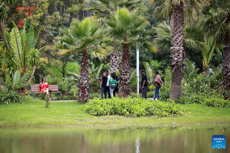 La Chine guide les pays africains vers une urbanisation plus durable