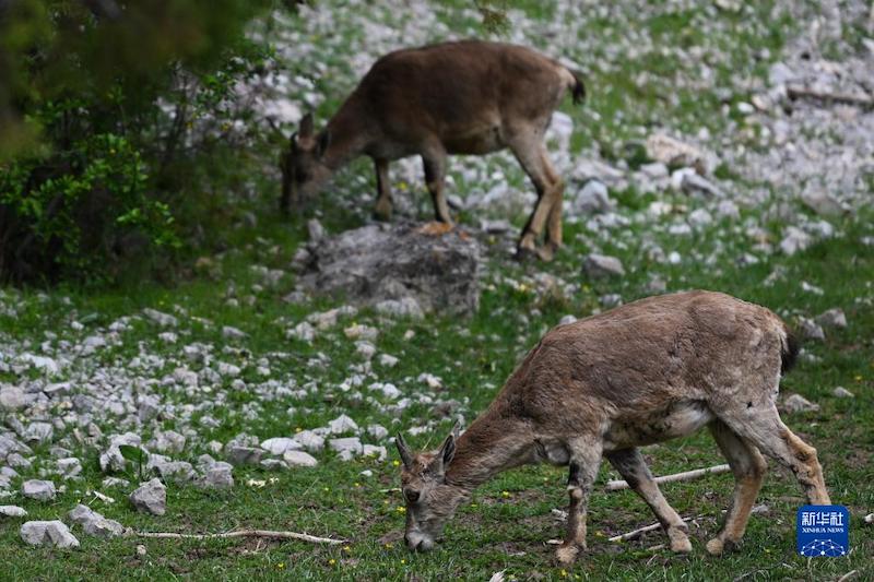Qinghai : les sources des Trois Fleuves en été