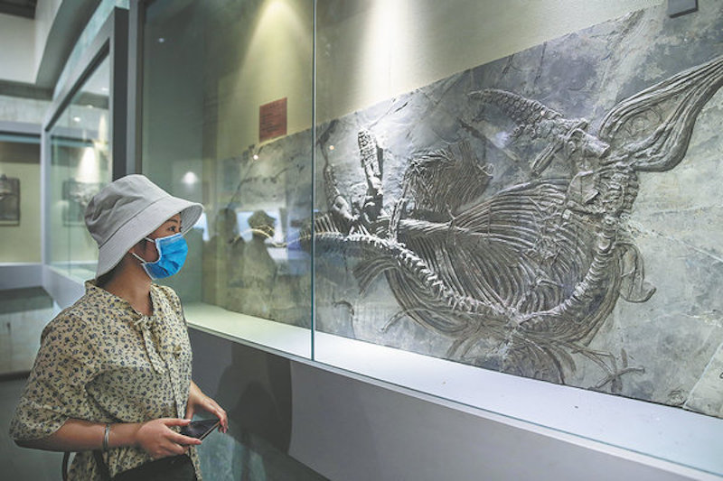 Guizhou : un pont qui relie des sites magnifiques et la prospérité