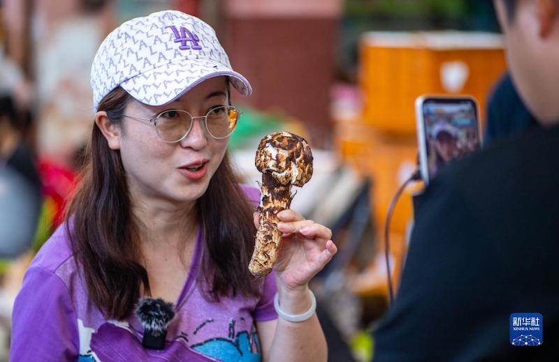 Yunnan: Les champignons sauvages inondent le marché