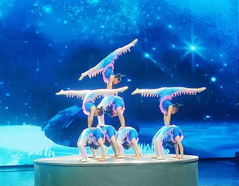 Hebei: la transmission et le rayonnement de l'acrobatie traditionnelle