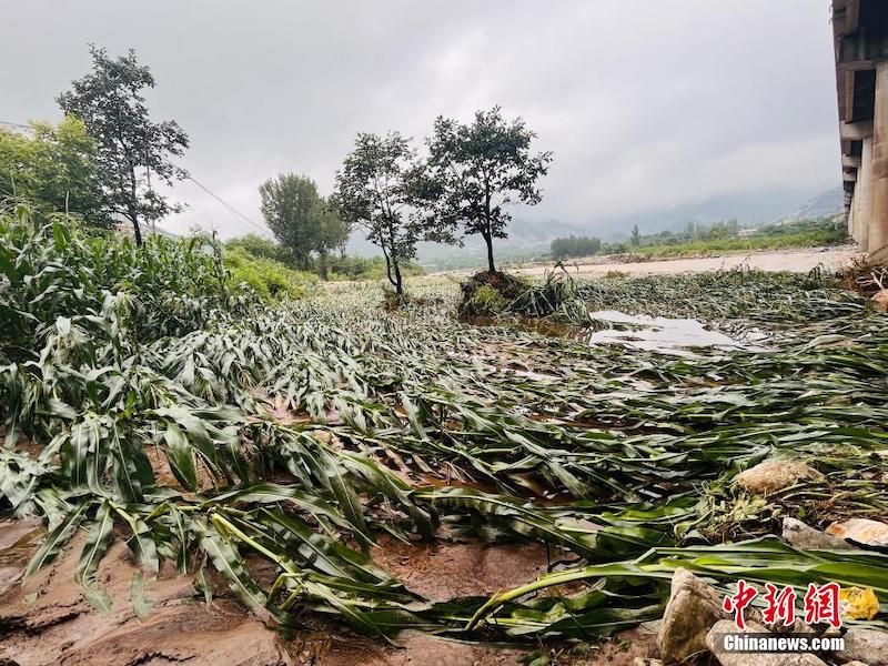 Hebei : des milliers de personnes investies dans les secours d'urgence et contre les inondations à Laishui