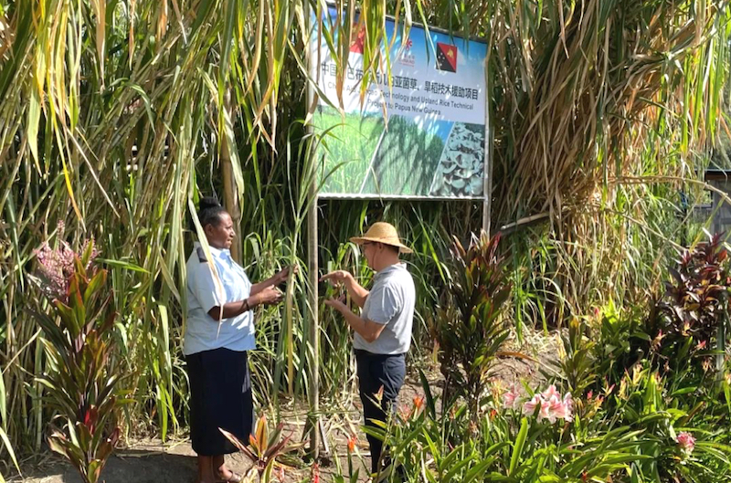 Contribuons?davantage à la construction conjointe d'un monde propre et beau