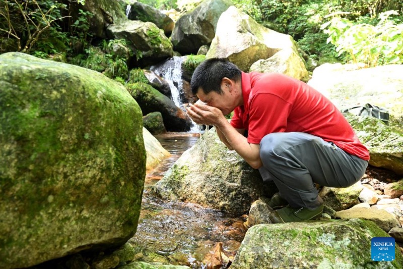 Anhui : un couple de gardes forestiers dévoué à la protection de la réserve naturelle de Tianma