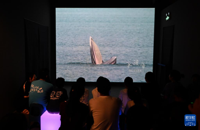 La technologie numérique contribue au développement intégré de la culture et du tourisme marins