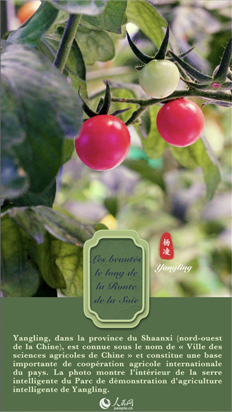 Les beautés le long de la Route de la Soie